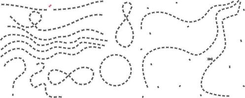 Set of different Ant trail . Insect path Stock illustration isolated on white background in flat simple style. vector