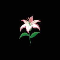 lily flower on a white background vector