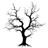 Shadow of tree with bare branches, Halloween, AI-Generateds png