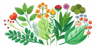 A bunch of different plants and flowers are shown vector