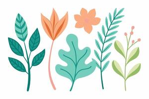 A set of colorful leaves and flowers vector