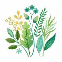 illustration of green leaves and flowers vector