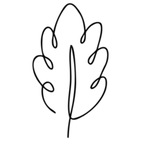 Leaf maple illustration with single continuous line. png