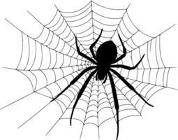 a black and white spider on a web vector
