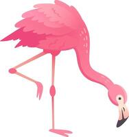 Cartoon flamingo standing on one leg bending over, isolated on white background vector