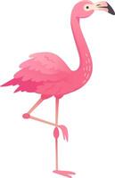 Flamingo standing on one leg, a symbol of grace and balance, showcasing the vibrant colors and unique features of this beautiful bird vector