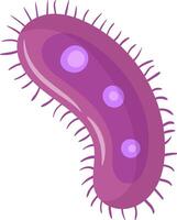 Microscopic view of a purple bacterium with cilia, highlighting its cellular structure and potential role in microbiology and disease vector