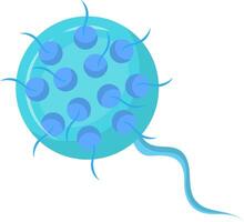 Chlamydia trachomatis bacteria showing elementary bodies, which are infectious, and reticulate bodies, which are the reproductive form of the bacteria, causing sexually transmitted infections vector