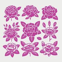 Full-bodied pink peony with lush, layered petals, embodying romance and femininity, perfect for springtime bouquets and special events. vector