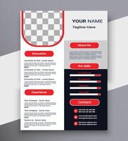 Modern and clean curriculum resume design for your education skill project template vector