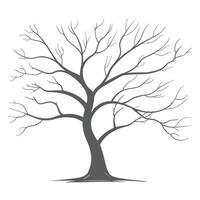 A tree with no leaves on a white background vector