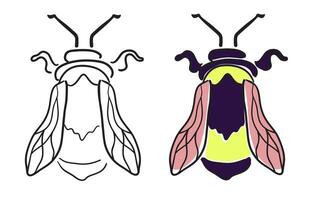 bumblebee in linear and color version vector