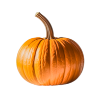 Fresh ripe pumpkin png