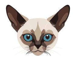 Siamese cat head. isolated illustration vector
