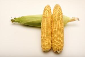 Three ears of corn on a white background. A printed cob. Ripe corn. photo