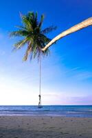 Wood swing with palm tree on tropical beach photo