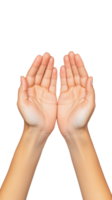 Two cupped hands raised up in offering gesture on transparent background png
