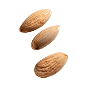 tre mandlar anordnad i en triangel form på en transparent bakgrund png