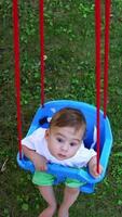Curious small kid swaying in the swing. Baby looks up at camera. View from above. Green grass at backdrop. Vertical video