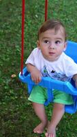 Small kid looking up while swaying on the swing. Adorable toddler boy spending time outdoors in the garden. View from top. Vertical video