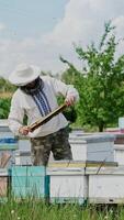 Beekeeper at work. Frames of a bee hive. Apiary concept Vertical video