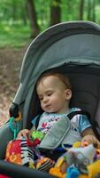 Cute Caucasian baby boy lying peacefully in the pram. Parent taking a child for a walk in the park. Nature backdrop. Vertical video