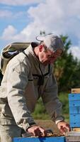 Beekeeper extracts a honey frame from a wooden bee hive. Apiarist uses metal tool to separate the frame from hive. Man looks at both sides of the frame. Nature backdrop. Vertical video