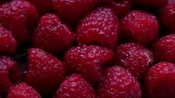 Closeup of ripe raspberries fruit, raspberry video