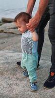 Small kid stepping excitedly by the big smooth stones. Dad supporting little child by the hands. River and wooded bank at backdrop. Vertical video