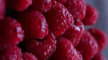 Closeup of ripe raspberries fruit, raspberry video