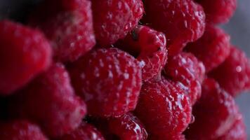 Closeup of ripe raspberries fruit, raspberry video