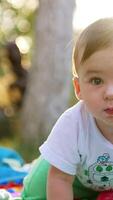 Cute little toddler crawling by the plaid laid on the ground in the garden. Curious beautiful child looks around with interest. Blurred backdrop. Vertical video