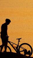 Man with bicycle resting near river. Silhouette of man with bicycle near the peaceful river with cats Vertical video