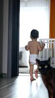 Rear view of a toddler in diaper running by the house. Black cat looks at camera and then follows a baby. Vertical video