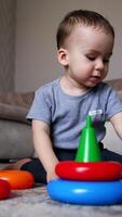 Calm serious baby boy plays on the floor. Kid constructs toy pyramids stacking the rings. Black cat sits beside watching the child. Low angle view. Vertical video