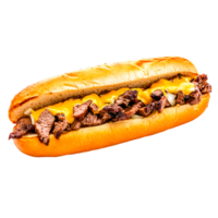 Delicious Steak Sandwich with Cheese and Onions png