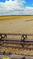 Combine in the field of wheat. View of combine harvester in action on wheat field Vertical video