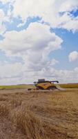 Harvesters working in the field. Combines working on the large wheat field Vertical video