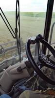 Man working in field in grain combine. View on process of gathering wheat from inside cabin Vertical video