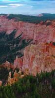 Sheer cliffs of wonderful canyons rising over the pine tree woods. Blue skies with clouds at backdrop. Aerial view. Vertical video