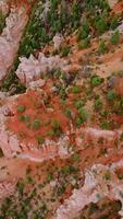 Pine trees growing on the cliffs of sharp-topped rocks of Bryce Canyon. Beautiful coral rocks from bird's eye view. Vertical video