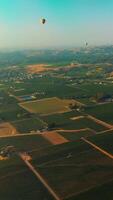Admirable view of Napa vineyards on beautiful sunny day. Hot air balloons flying over the gorgeous valley and green mountains. Top view. Vertical video