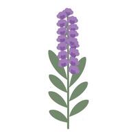 A purple flower with green leaves on it vector
