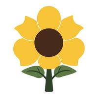 A sunflower with leaves and a stem vector