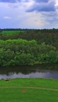 Rural panorama including narrow river floating between meadow and forest. Cows walking by the green grass. Cloudy sky at backdrop. Top view. Vertical video