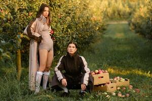 Two stylish girls in raincoats in an apple orchard. Fashion show in an orchard photo