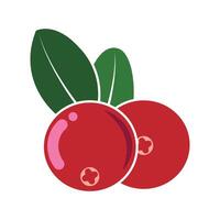 cranberry fruit, Red cowberries. Berries with leaves. Hand-drawn botanical colored flat illustration isolated on white background. vector
