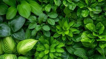 A tranquil garden filled with vibrant greenery showcasing diverse plant life in calming shades of green photo