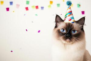 A Siamese cat celebrating a birthday with a festive hat and colorful streamers in a bright setting photo