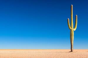 Lonely cactus stands against vast minimalist desert landscape with rolling dunes and clear blue sky photo